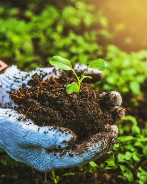 El campo, aliado crucial en la lucha contra el cambio climático