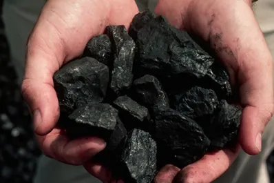 Cuáles son los beneficios de poner carbón en la heladera