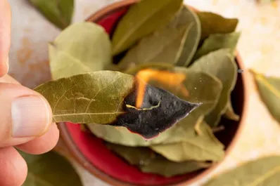 Conocé el antiguo ritual que te ayudará a alcanzar tus metas y atraer abundancia en 2024