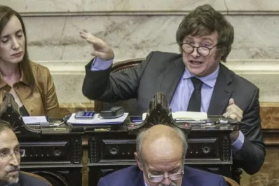 ¿Cuánto será el sueldo de Javier Milei como presidente?