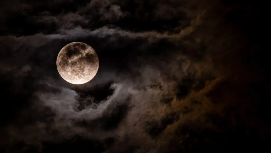 Luna del Castor: cómo afectará a cada signo del Zodíaco