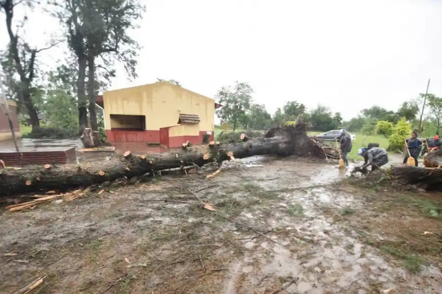 TRABAJANDO. Operarios despejan el camino cruzado por árboles caídos.
