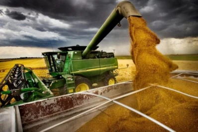 Cayó el cálculo de producción de trigo debido a las heladas tardías