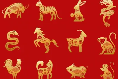 Horóscopo chino: el último cambio que vivirá cada signo antes de fin de año