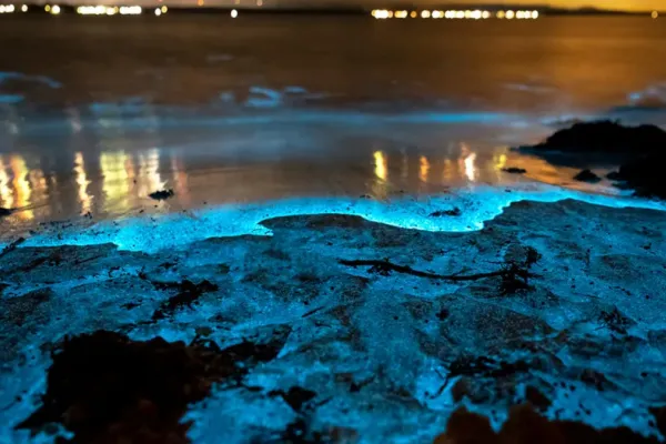 Extrañas luces fosforescentes aparecieron sobre el mar argentino: ¿qué sucedió?