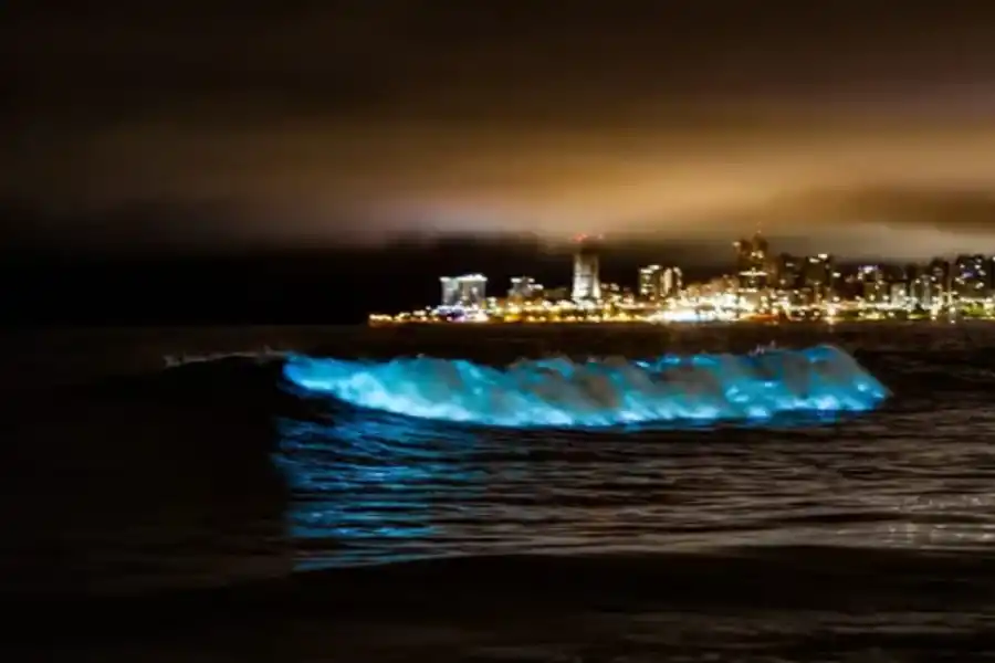 Extrañas luces fosforescentes aparecieron sobre el mar argentino: ¿qué sucedió?