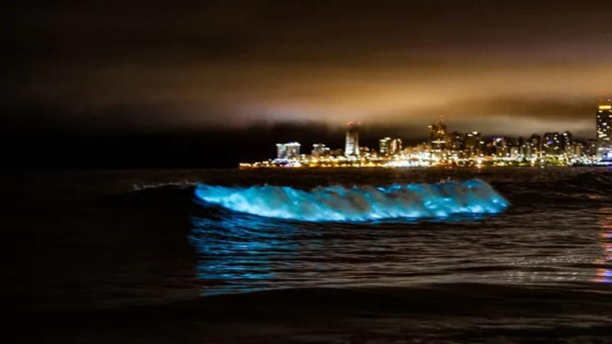 Extrañas luces fosforescentes aparecieron sobre el mar argentino: ¿qué sucedió?