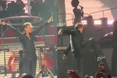 Video: la fuerte caída de Luis Miguel en pleno show que asustó a sus fanáticos