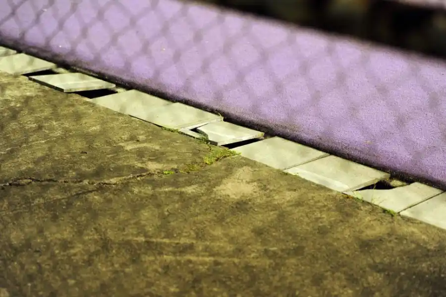 El estadio de hockey de Natación y Gimnasia, el gigante dormido que espera volver a escena