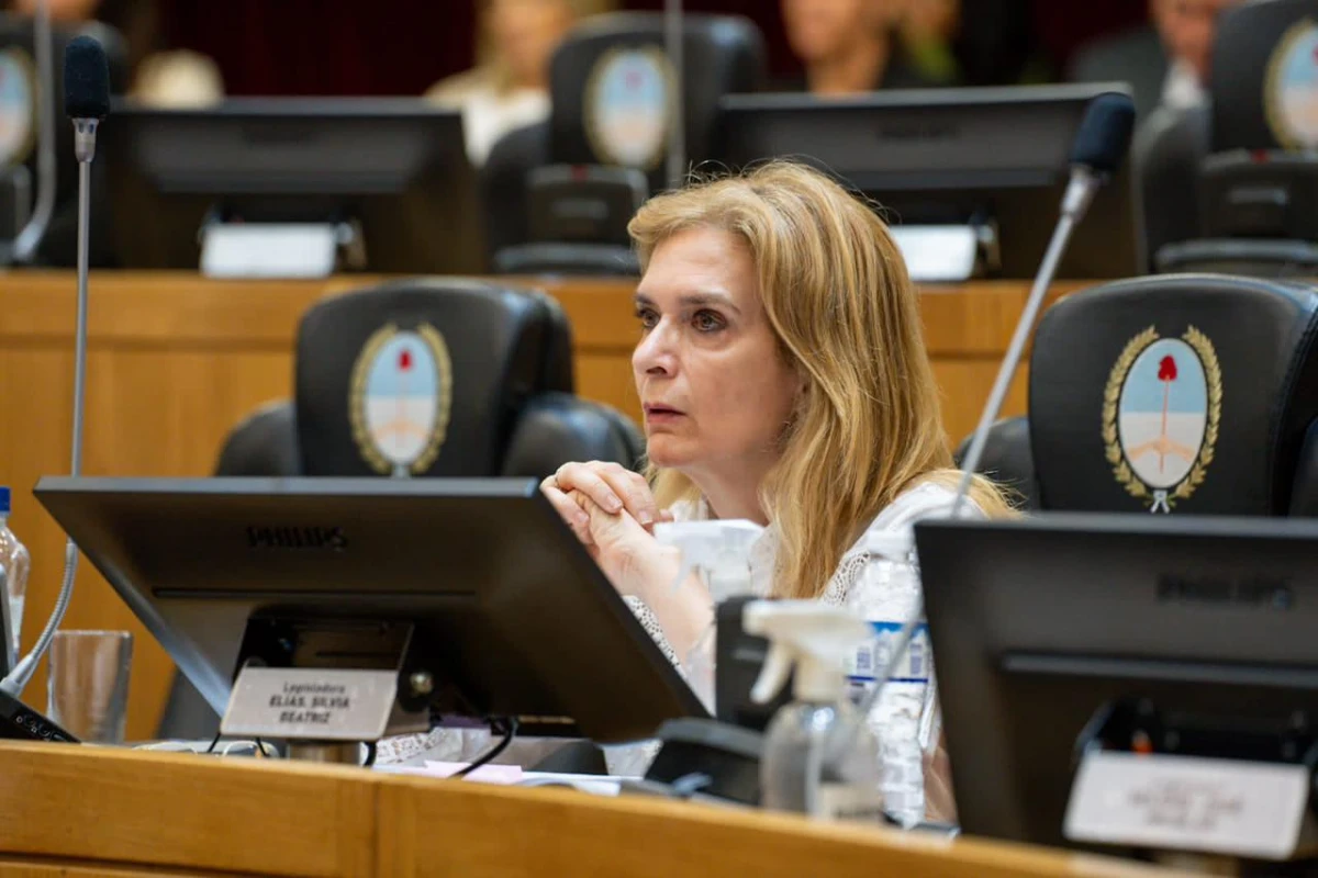 RADICAL. La legisladora Silvia Elías de Pérez. 