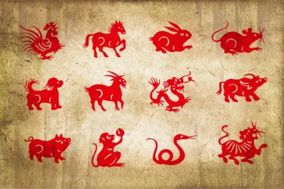Horóscopo chino: ¿qué sorpresas se llevará cada signo antes de fin de año?