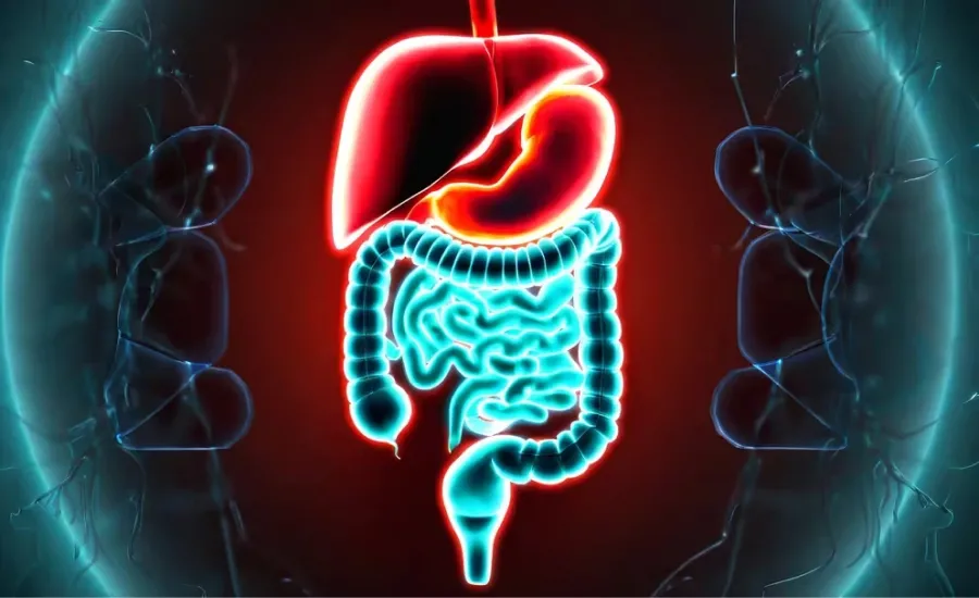 Los almidones resistentes son de digestión más lenta y, al pasar más tiempo en el intestino, evitan que se eleve mucho el nivel de azúcar en sangre 