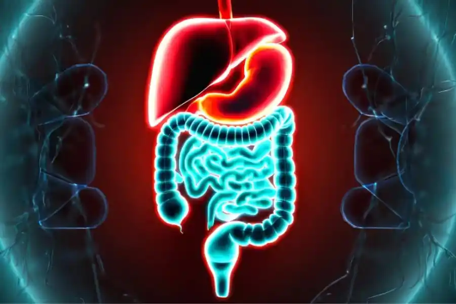 Los almidones resistentes son de digestión más lenta y, al pasar más tiempo en el intestino, evitan que se eleve mucho el nivel de azúcar en sangre 