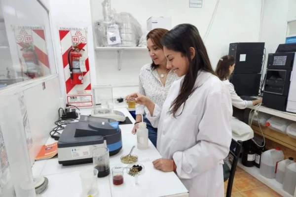 “Secuestran” las propiedades anti nutritivas de infusiones