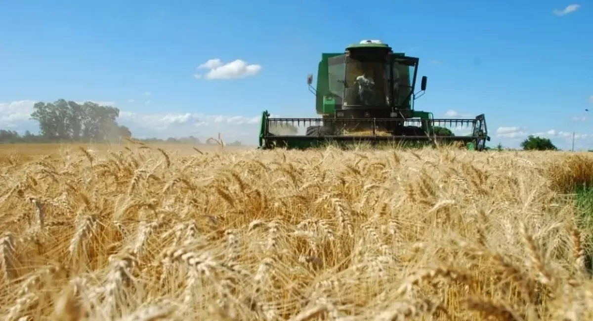 En noviembre, el patentamiento de maquinaria agrícola aumentó 1,8% interanual