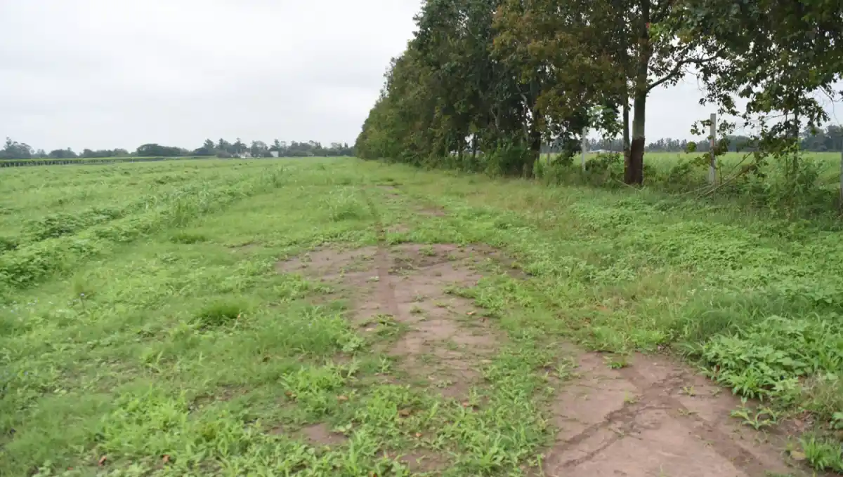 SAN ANDRÉS. En los próximos días se inician los trabajos de nivelación de suelo.