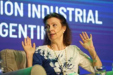 Diana Mondino quiere bajar la tensión diplomática: “No afectan a las relaciones entre los países”