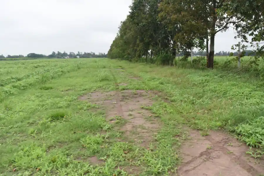 SAN ANDRÉS. En los próximos días se inician los trabajos de nivelación de suelo.