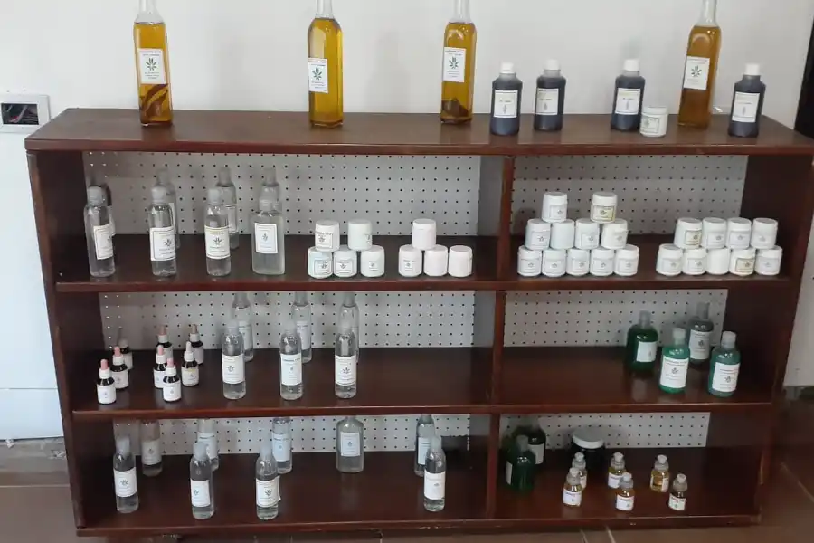 Hallan en Tafí Viejo un laboratorio de marihuana, más de 100 plantas y una fábrica de productos derivados