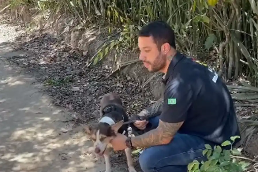 El perro de la víctima.