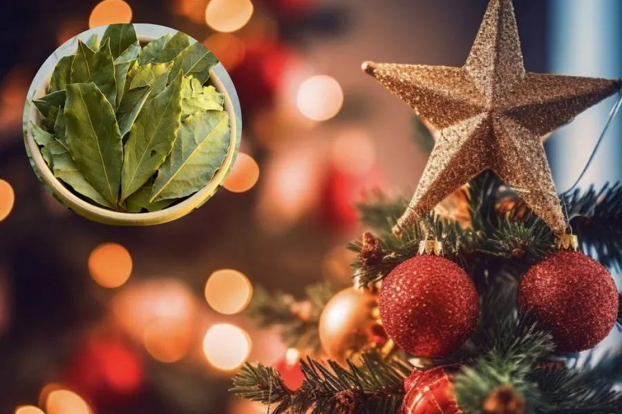 En qué consiste el ritual del laurel en el árbol de Navidad para atraer la buena suerte.
