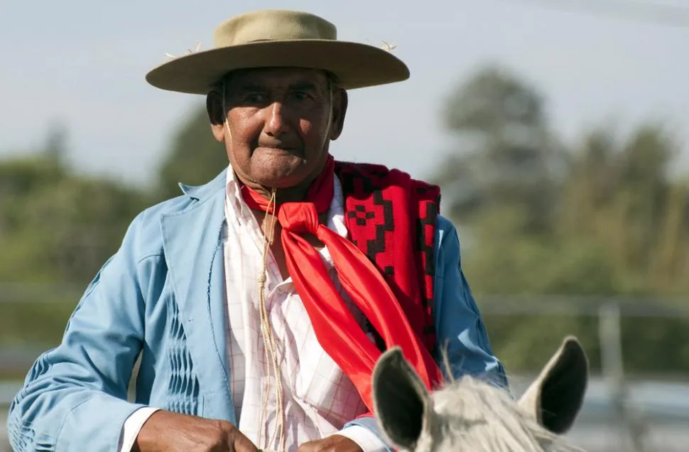 Día Nacional del Gaucho: por qué se celebra y otras curiosidades