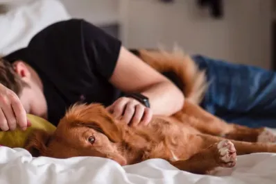 Cómo es la inemuri, la potente siesta japonesa que te da un golpe de energía en solo unos minutos