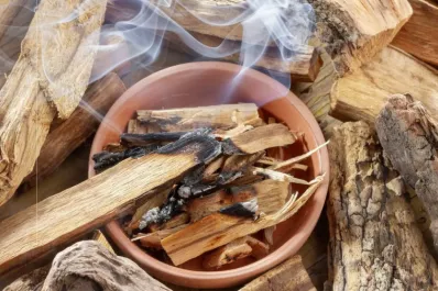 Cuáles son los increíbles beneficios de quemar un Palo Santo: cómo prenderlo y qué significados tiene