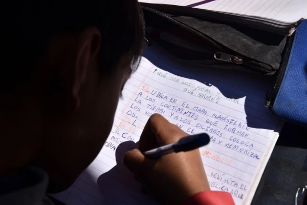 La crisis educativa: ¿somos analfabetos o ignorantes?