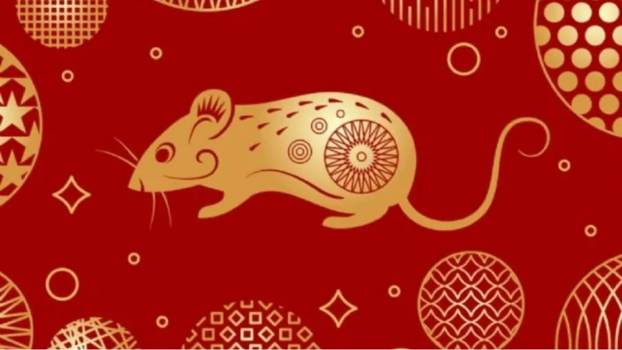 Horóscopo Chino: cómo será el 2024 para las personas del signo Rata, según Ludovica Squirru