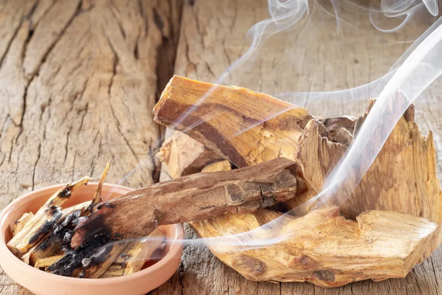 Quemar Palo Santo en el hogar atraerá buenas energías y abundancia. (Foto: Shutterstock)