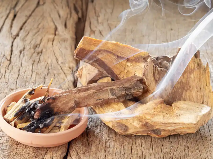 Quemar Palo Santo en el hogar atraerá buenas energías y abundancia. (Foto: Shutterstock)