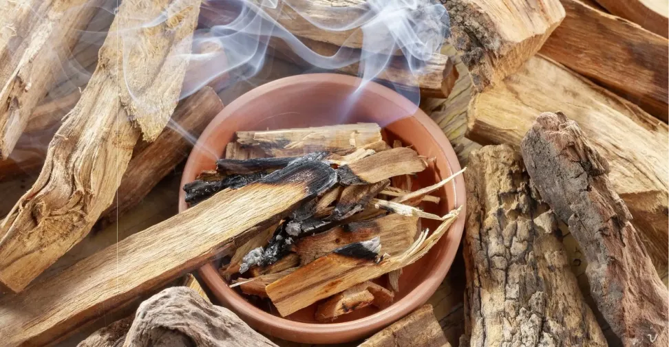 Cuáles son los increíbles beneficios de quemar un Palo Santo: cómo prenderlo y qué significados tiene.