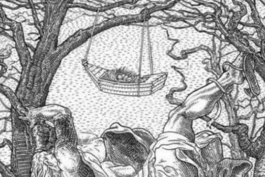 ¿Qué es lo primero que ves en esta imagen?