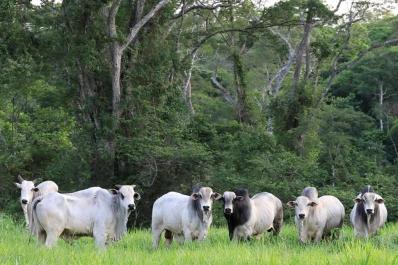 En Bolivia funciona un proyecto similar al PPP, para acercar al productor hacia la conservación