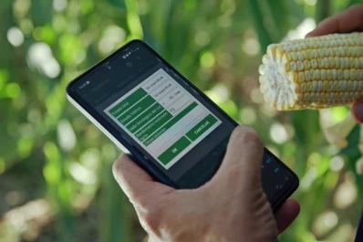 SIMA explicó por qué crece la siembra tardía del maíz