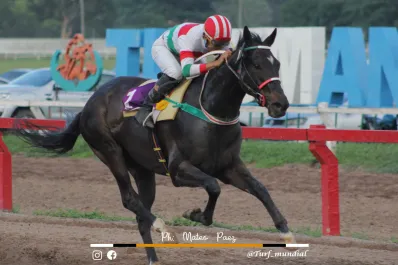 Turf: Smile Cat va por la corona de los adultos