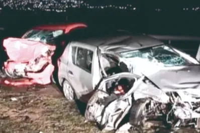 Preocupación por los animales sueltos en la ruta