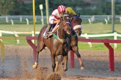 Smile Cat ganó y le apunta al “Pellegrini”