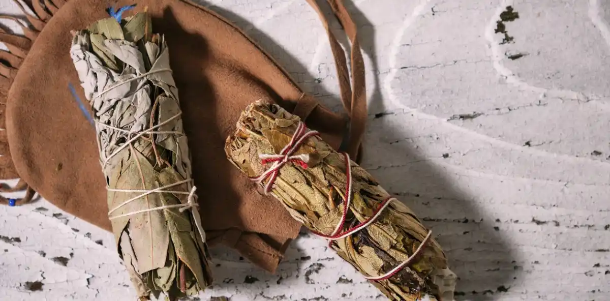 El eucalipto es poderoso y muy usado en rituales. (Foto: Shutterstock)