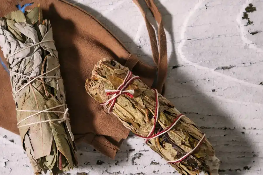 El eucalipto es poderoso y muy usado en rituales. (Foto: Shutterstock)