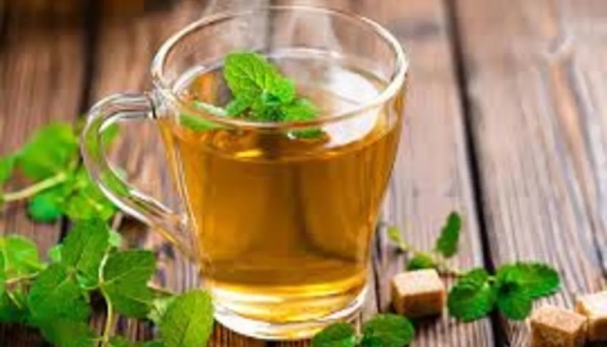 .Té de laurel y menta: para qué se toma, cuáles son sus beneficios y cómo prepararlo