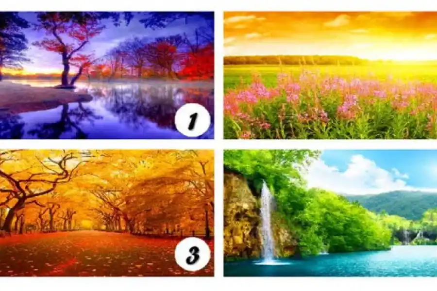 ¿Qué aspecto de tu vida te mantiene en el pasado? Elegí uno de los paisajes y descubrilo.