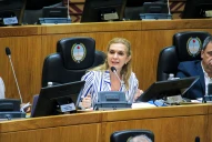 Quemaron las arcas y le piden a los tucumanos que nos endeudemos”, sostuvo la legisladora Elías de Perez