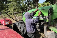 El productor sufrió problemas en el abastecimiento de insumos