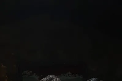 Recital de Los Random en Yerba Buena