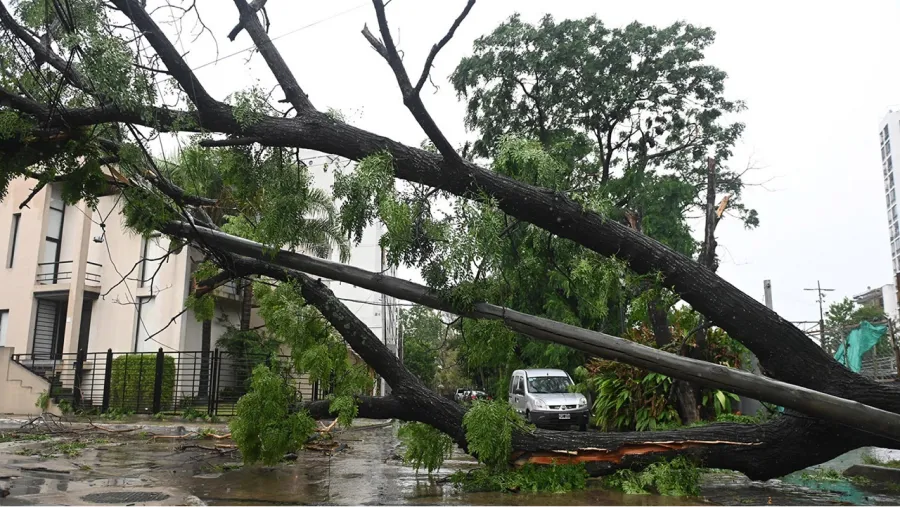La tormenta causó destrozos en varias zonas del país