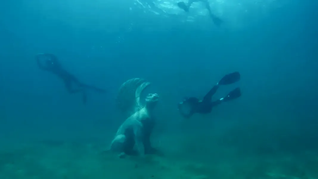 Los buzos que visitan Neuquén tienen una cita obligada con la leona.