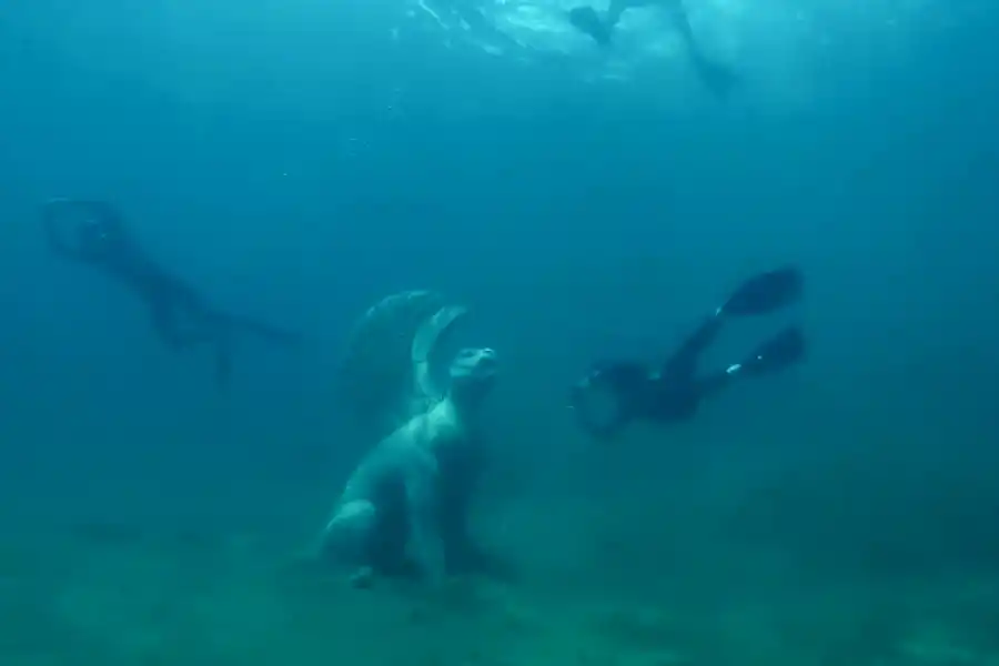 Los buzos que visitan Neuquén tienen una cita obligada con la leona.