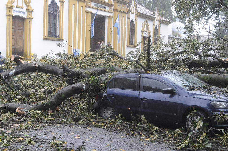 La tormenta derribó árboles y postes en la capital